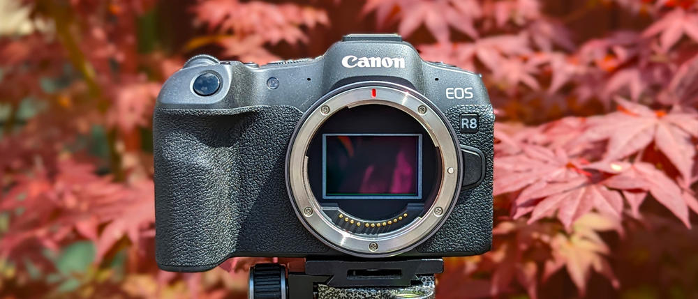 Import Canon EOS R8 H.265 Footage to Premiere Pro